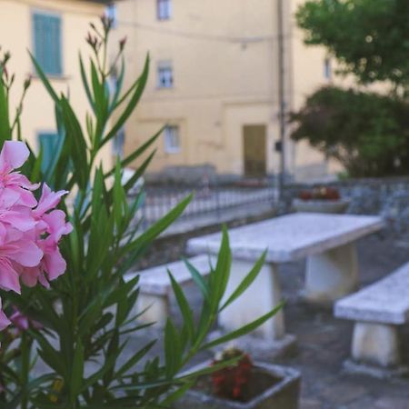 Casa Con Giardino In Mugello A 30 Minuti Da Firenze "Soleluna" Osteria di Novoli ภายนอก รูปภาพ